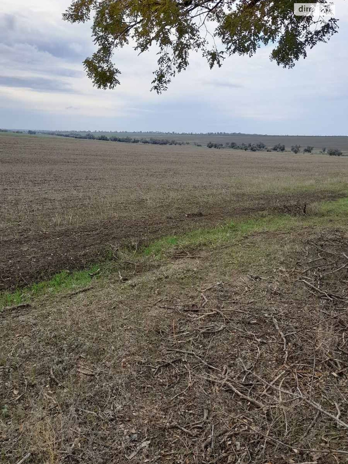 Оренда землі сільськогосподарського призначення в Муравлівці, ціна: 60 318 грн за об’єкт фото 1