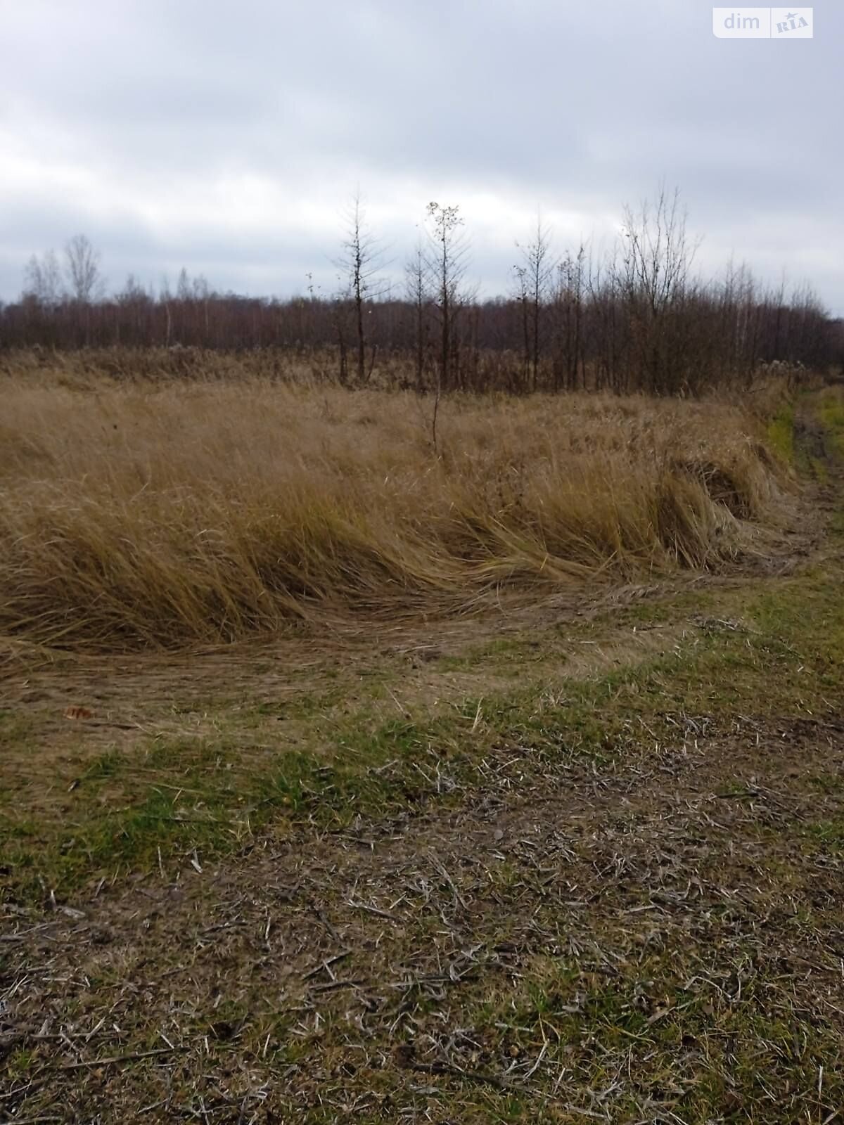 Оренда землі сільськогосподарського призначення в Нарцизівці, ціна: 13 345 грн за об’єкт фото 1