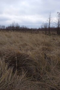 Оренда землі сільськогосподарського призначення в Нарцизівці, ціна: 13 345 грн за об’єкт фото 2