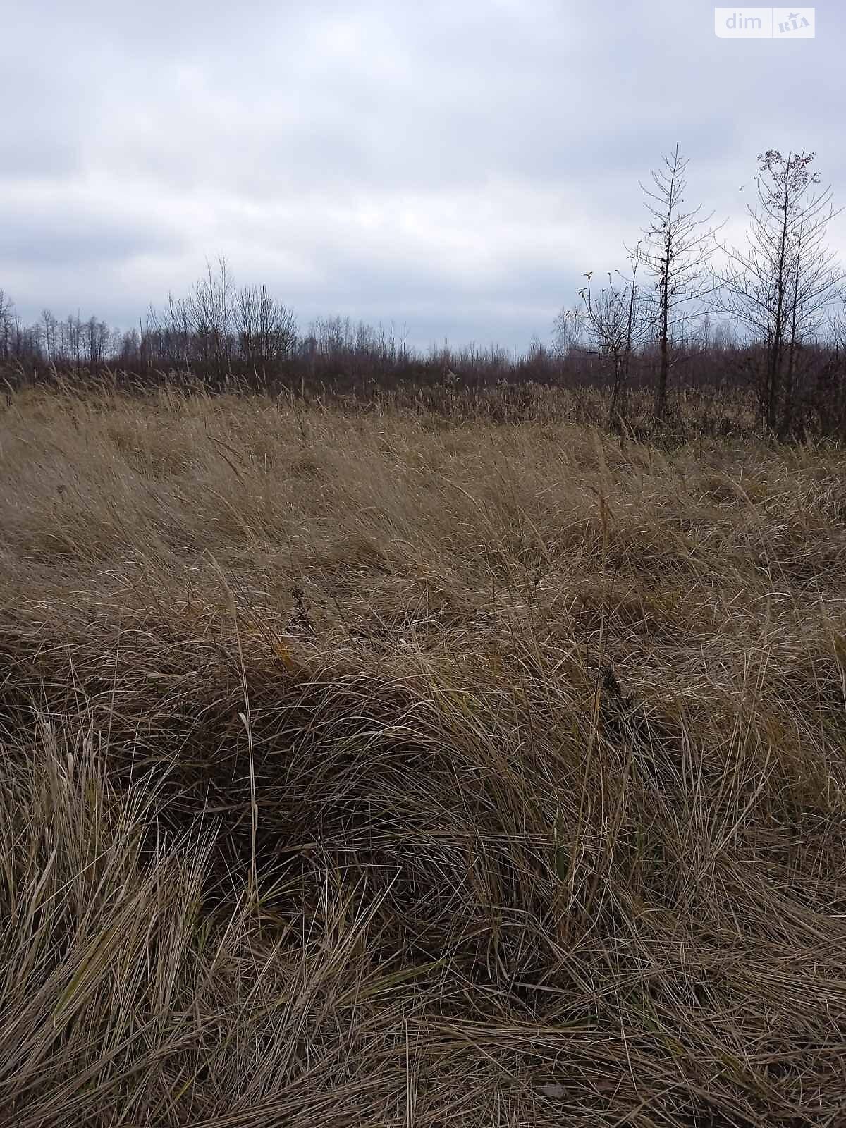 Оренда землі сільськогосподарського призначення в Нарцизівці, ціна: 13 345 грн за об’єкт фото 1