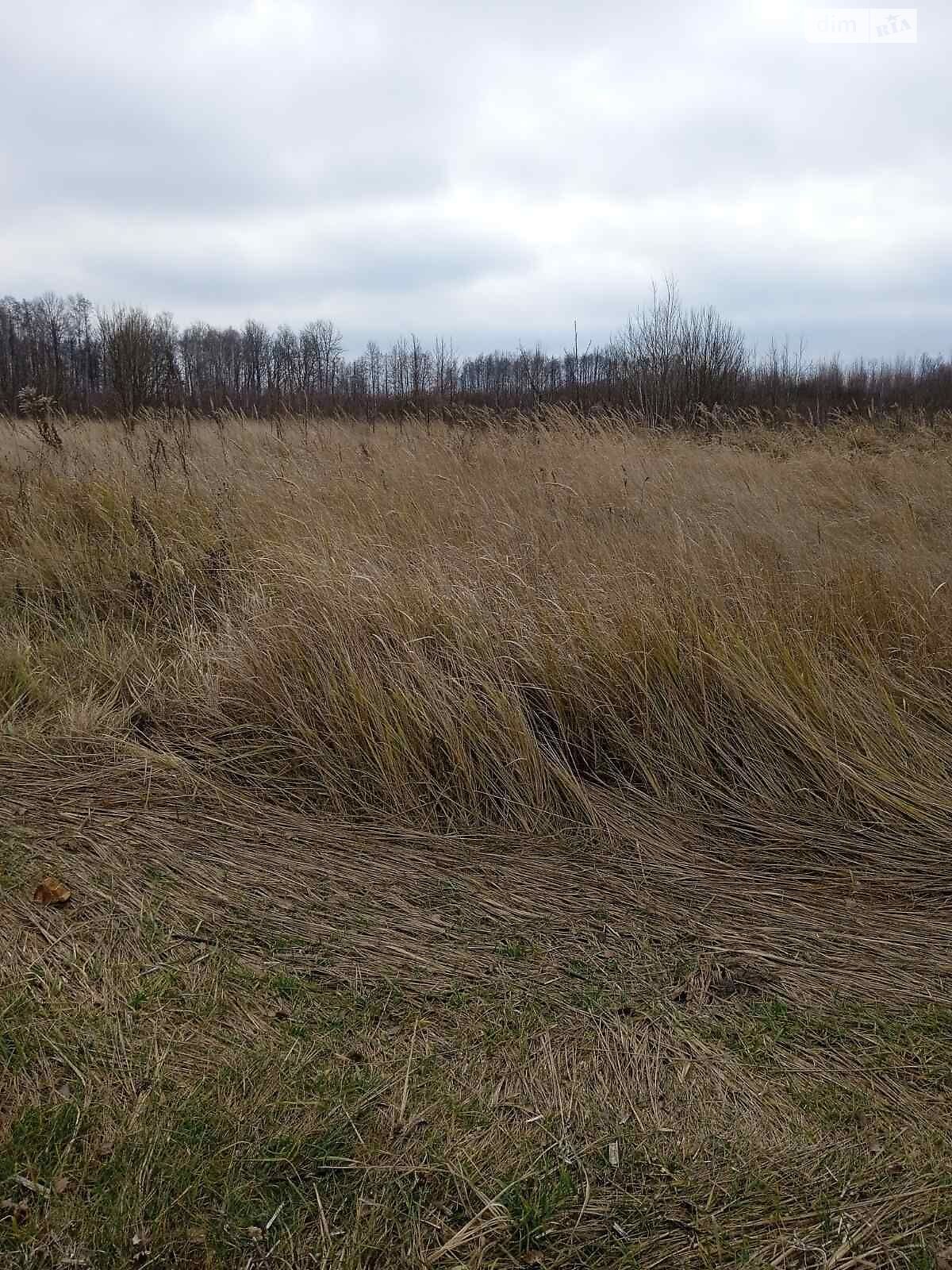 Оренда землі сільськогосподарського призначення в Нарцизівці, ціна: 13 345 грн за об’єкт фото 1