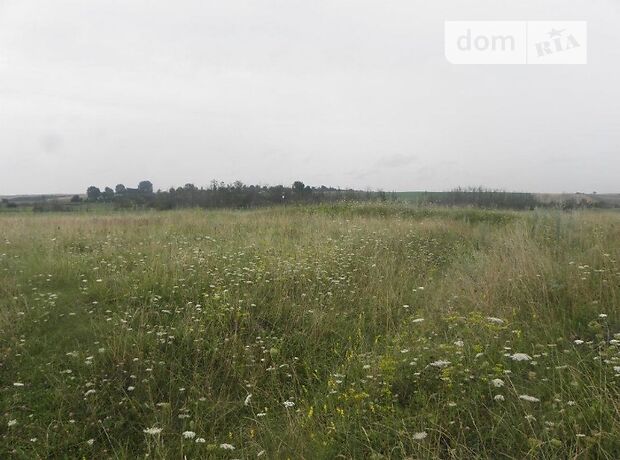 Аренда земли сельскохозяйственного назначения в селе Ольшана, цена: договорная за объект фото 1 Аренда земли сельскохозяйственного назначения в селе Ольшана, цена: договорная за объект фото 1