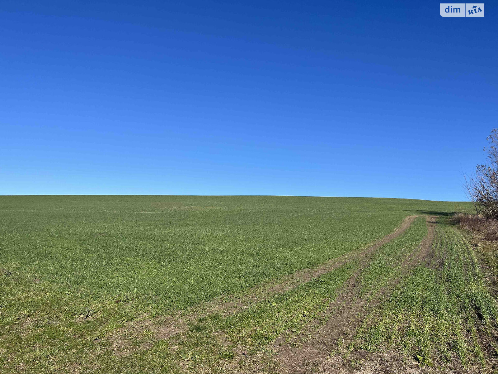 Аренда земли сельскохозяйственного назначения в Нетерпинцах, цена: 131 574 грн за объект фото 1