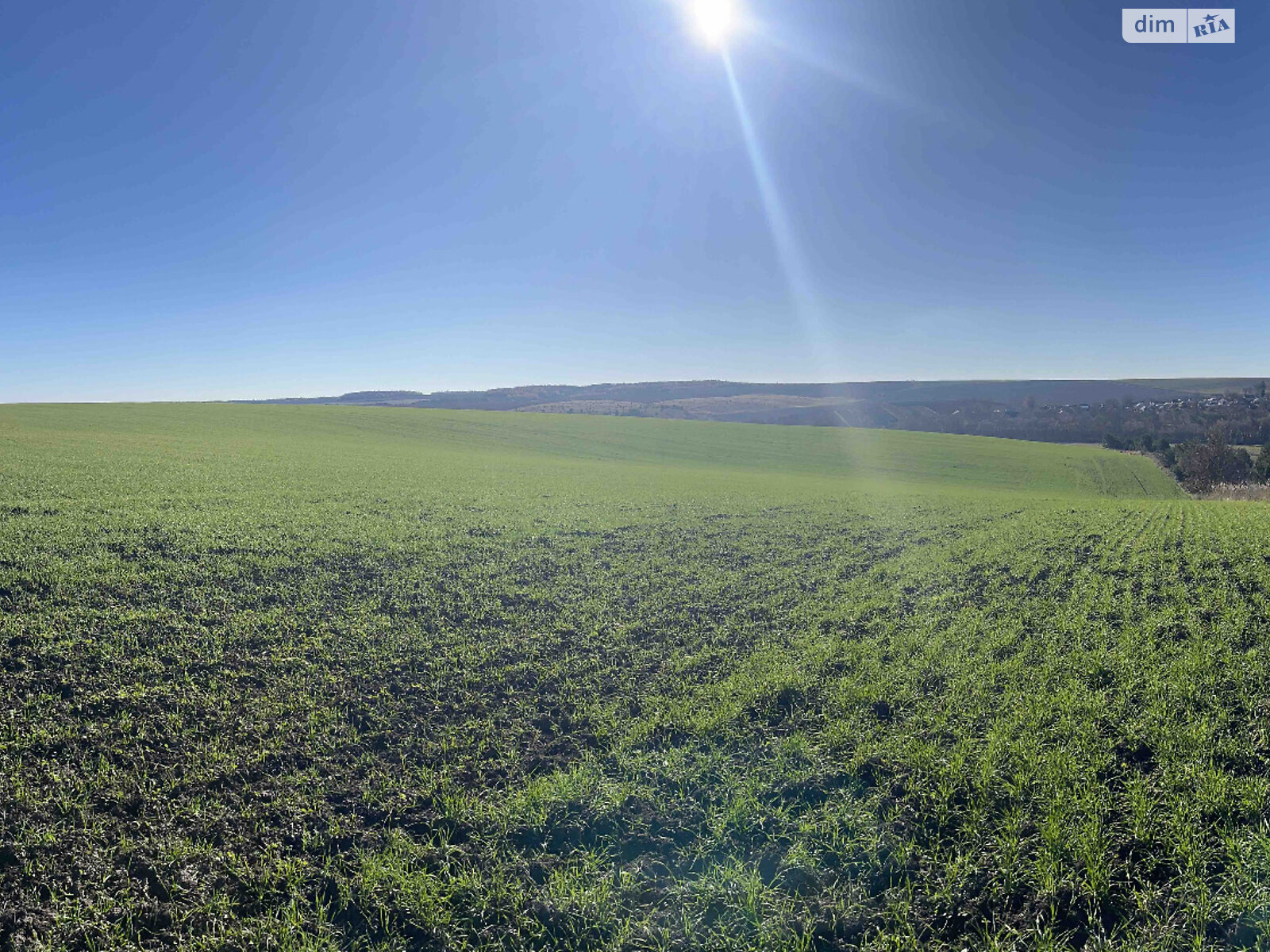 Аренда земли сельскохозяйственного назначения в Нетерпинцах, цена: 131 574 грн за объект фото 1