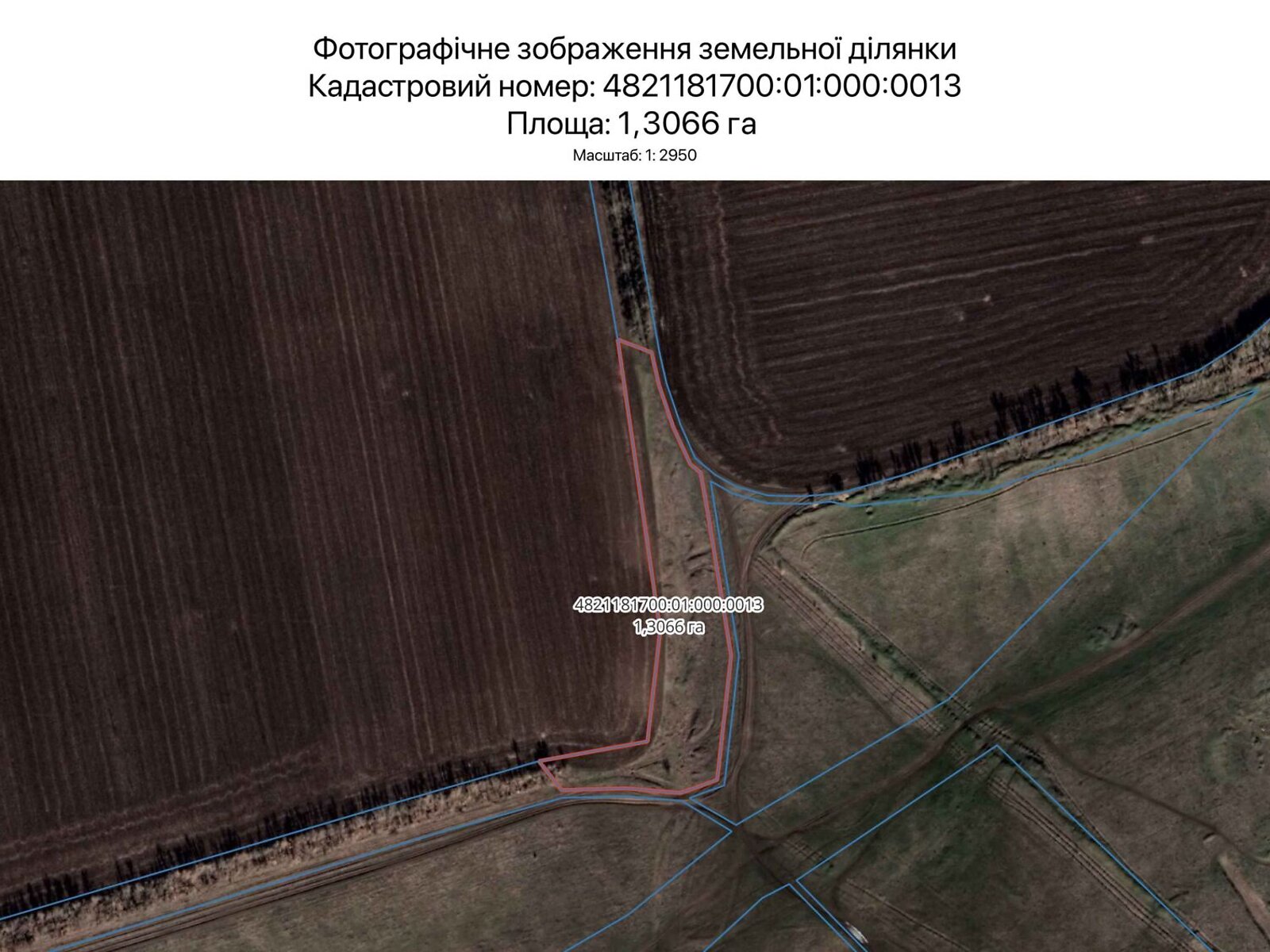 Аренда земли сельскохозяйственного назначения в Николаеве, цена: 1 086 грн за объект фото 1