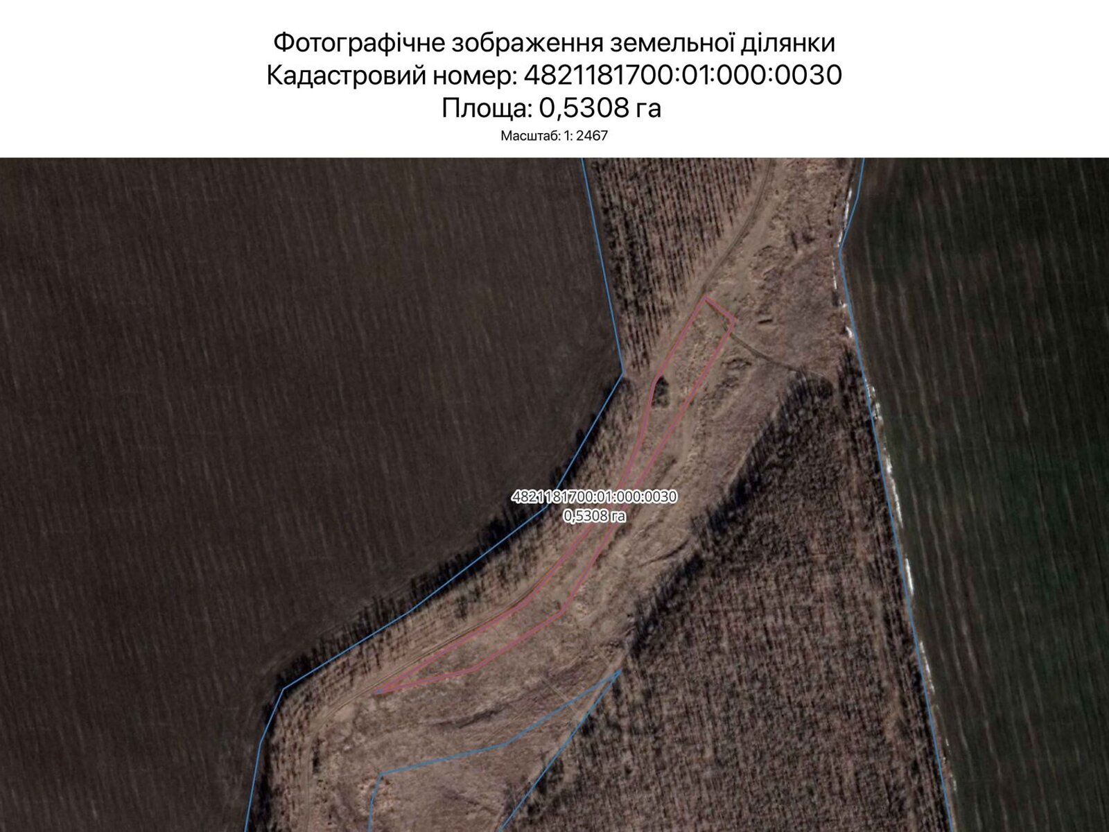 Аренда земли сельскохозяйственного назначения в Николаеве, цена: 500 грн за объект фото 1 Аренда земли сельскохозяйственного назначения в Николаеве, цена: 500 грн за объект фото 1