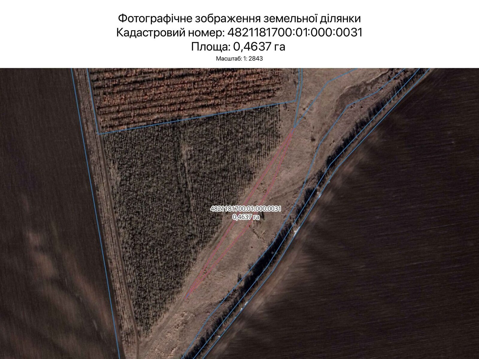 Оренда землі сільськогосподарського призначення в Миколаєві, ціна: 573 грн за об’єкт фото 1 Оренда землі сільськогосподарського призначення в Миколаєві, ціна: 573 грн за об’єкт фото 1