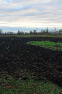 Оренда землі сільськогосподарського призначення в Новій Одесі, ціна: 4 234 грн за об’єкт фото 1