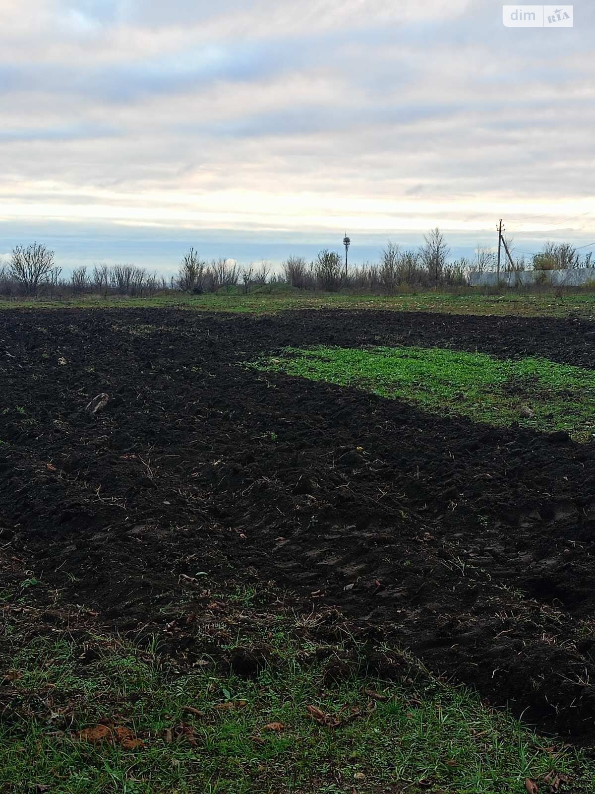 Оренда землі сільськогосподарського призначення в Новій Одесі, ціна: 4 234 грн за об’єкт фото 1