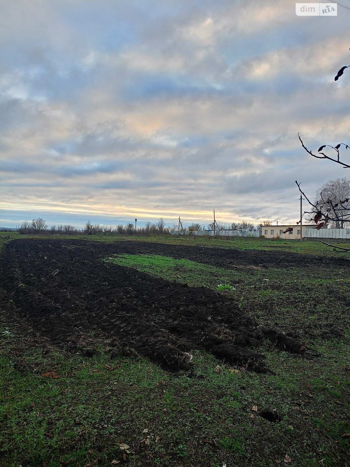 Оренда землі сільськогосподарського призначення в Новій Одесі, ціна: 4 234 грн за об’єкт фото 1