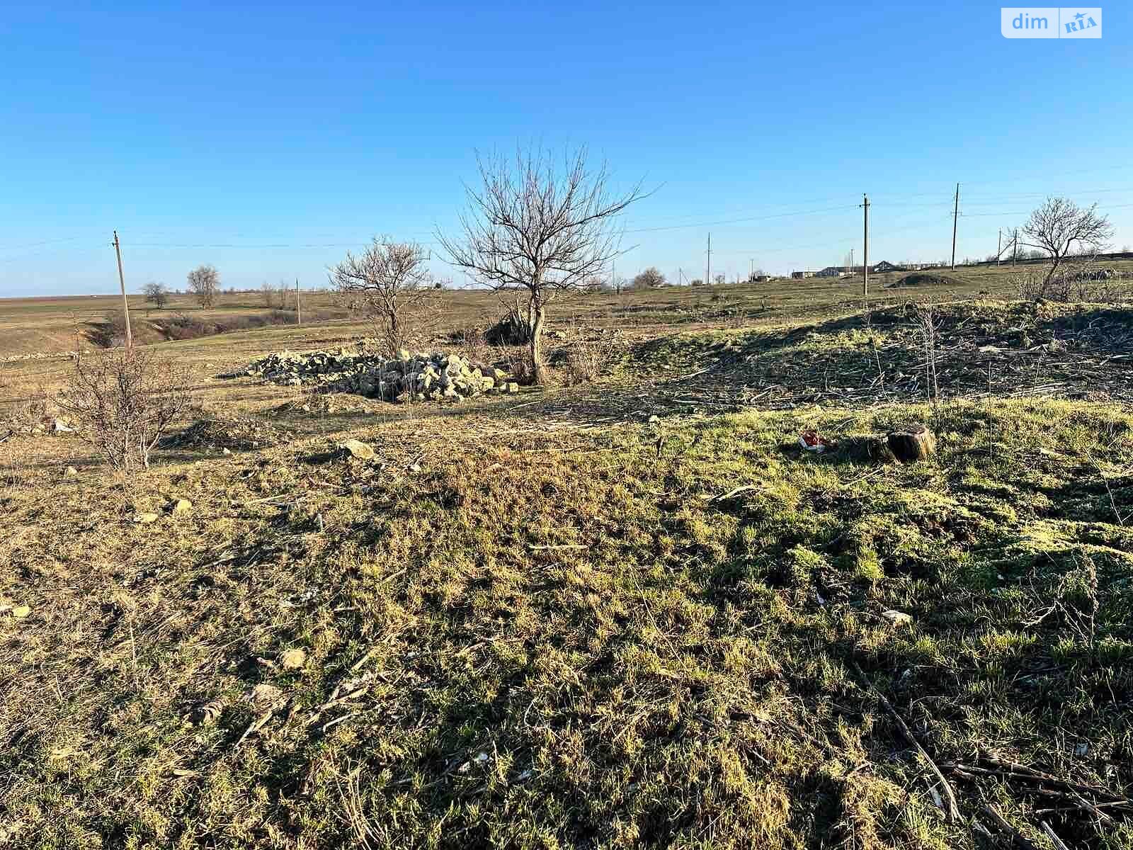 Аренда земли сельскохозяйственного назначения в НоваяОдессе, цена: 6 293 грн за объект фото 1