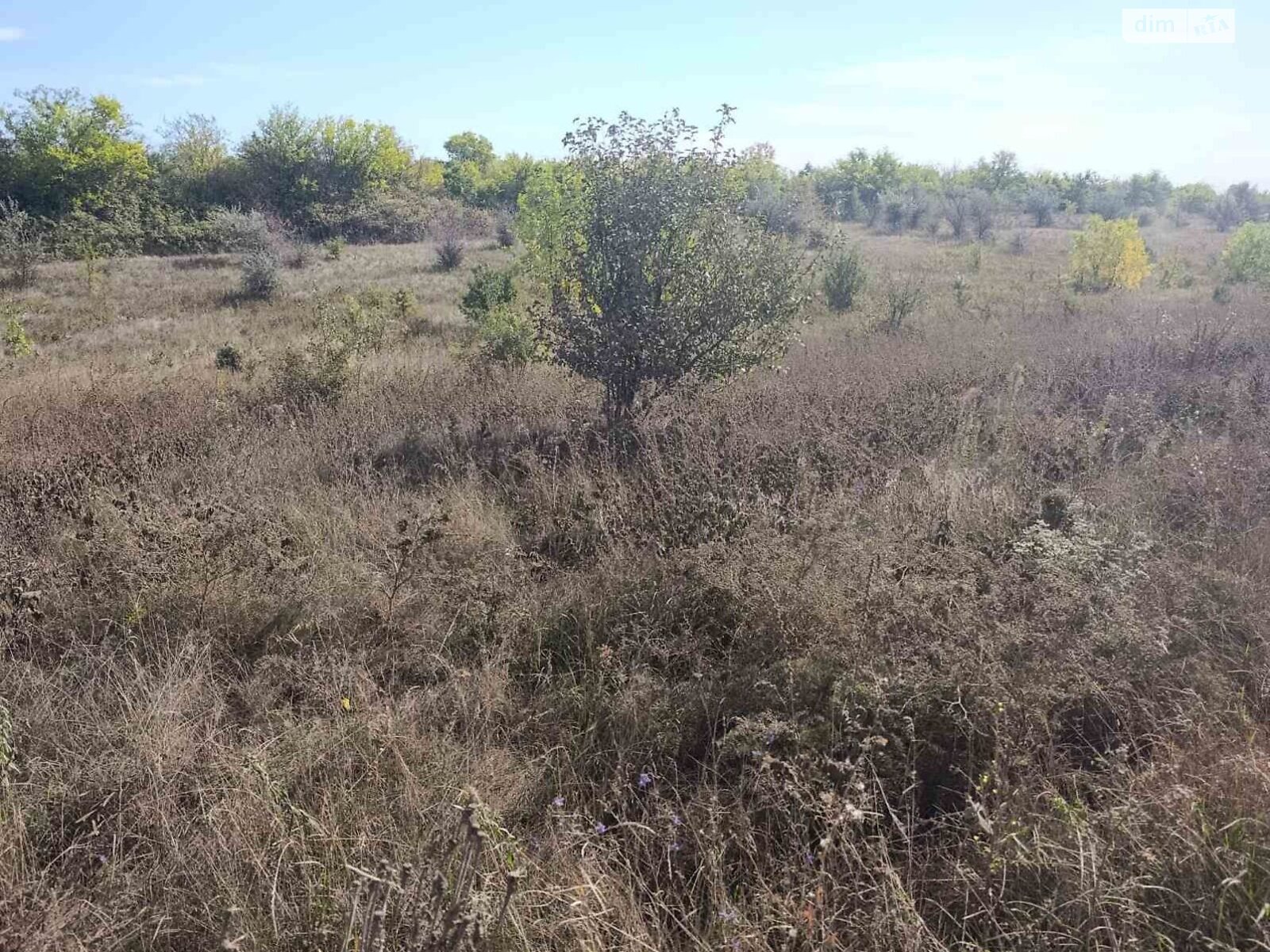 Аренда земли сельскохозяйственного назначения в Новой Праге, цена: 28 135 грн за объект фото 1