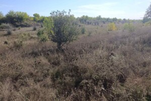 Аренда земли сельскохозяйственного назначения в Новой Праге, цена: 28 135 грн за объект фото 1