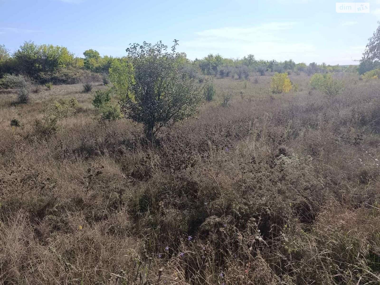 Аренда земли сельскохозяйственного назначения в Новой Праге, цена: 28 135 грн за объект фото 1