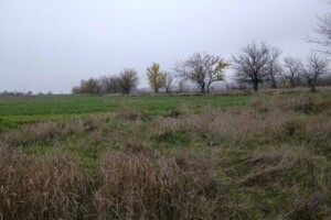 Оренда землі сільськогосподарського призначення в Новій Празі, ціна: 14 950 грн за об’єкт фото 1