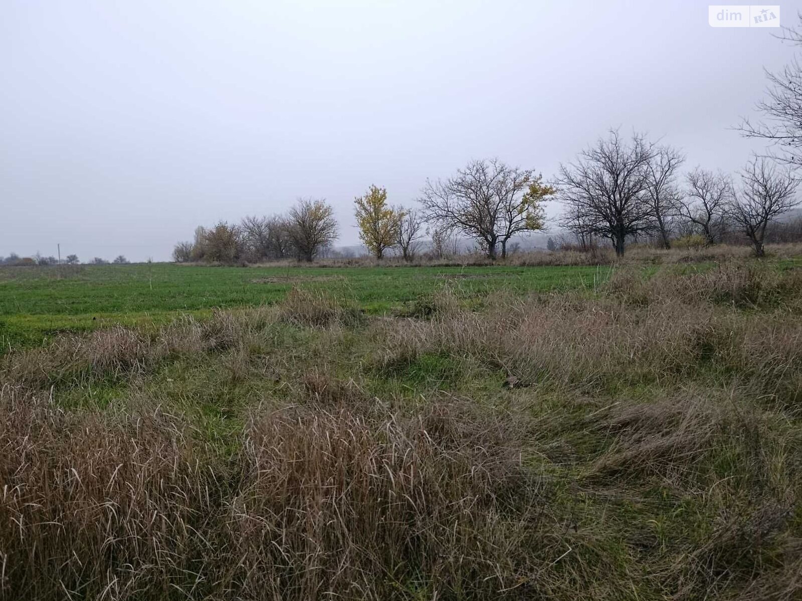 Оренда землі сільськогосподарського призначення в Новій Празі, ціна: 14 950 грн за об’єкт фото 1