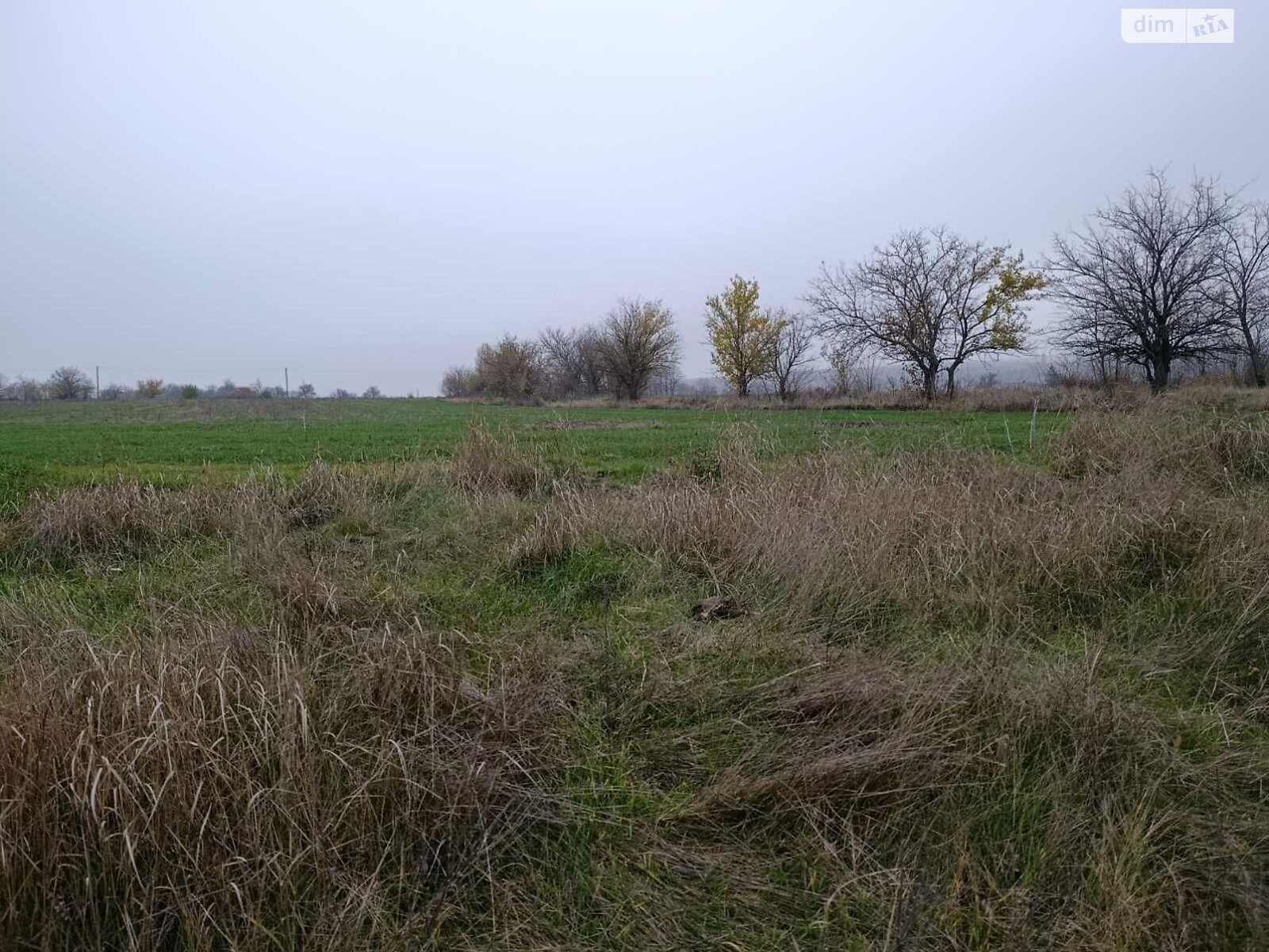 Оренда землі сільськогосподарського призначення в Новій Празі, ціна: 14 950 грн за об’єкт фото 1