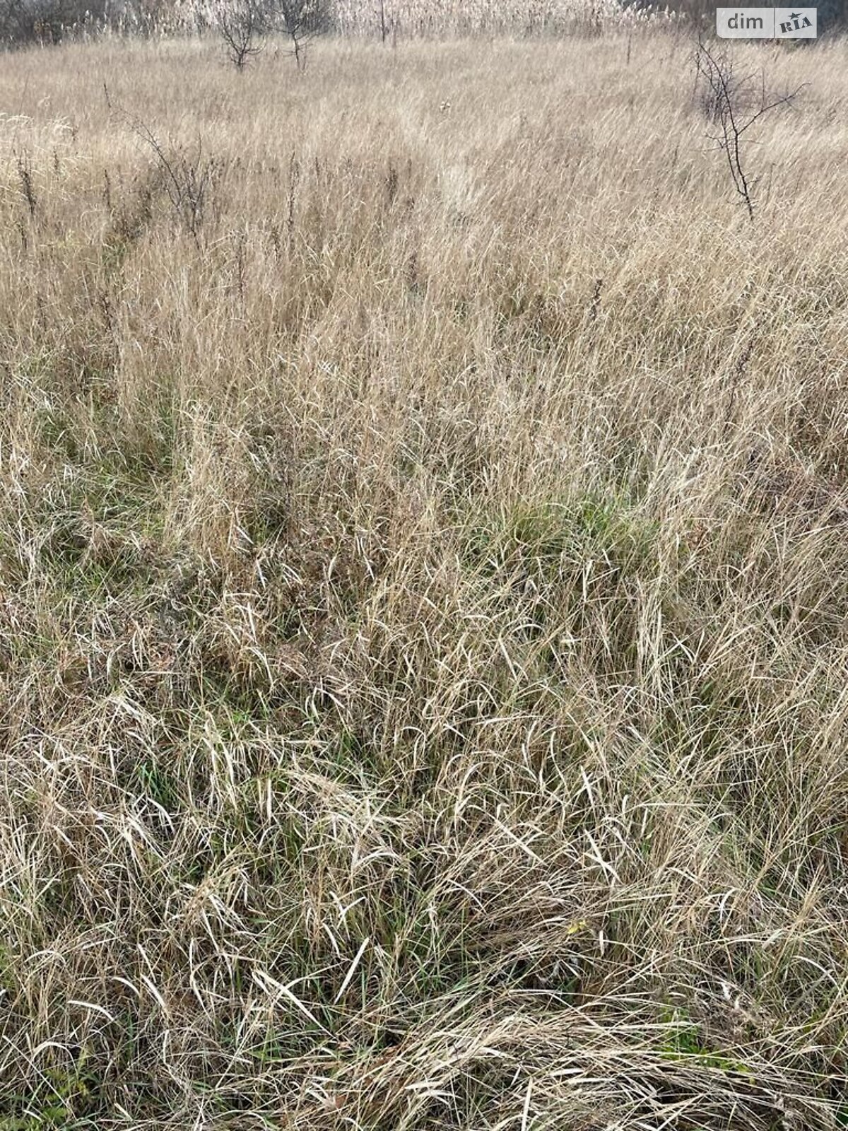 Оренда землі сільськогосподарського призначення в Новомутині, ціна: 6 466 грн за об’єкт фото 1