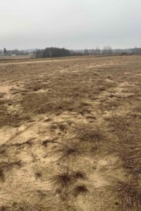 Аренда земли сельскохозяйственного назначения в Новых Воробьях, цена: 13 456 грн за объект фото 1