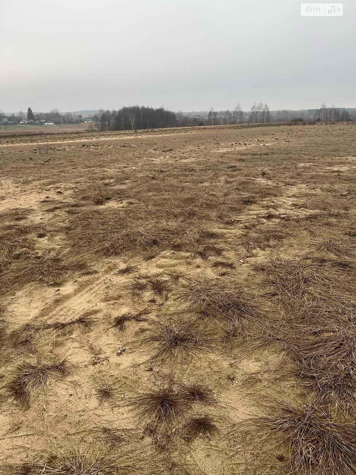 Аренда земли сельскохозяйственного назначения в Новых Воробьях, цена: 13 456 грн за объект фото 1