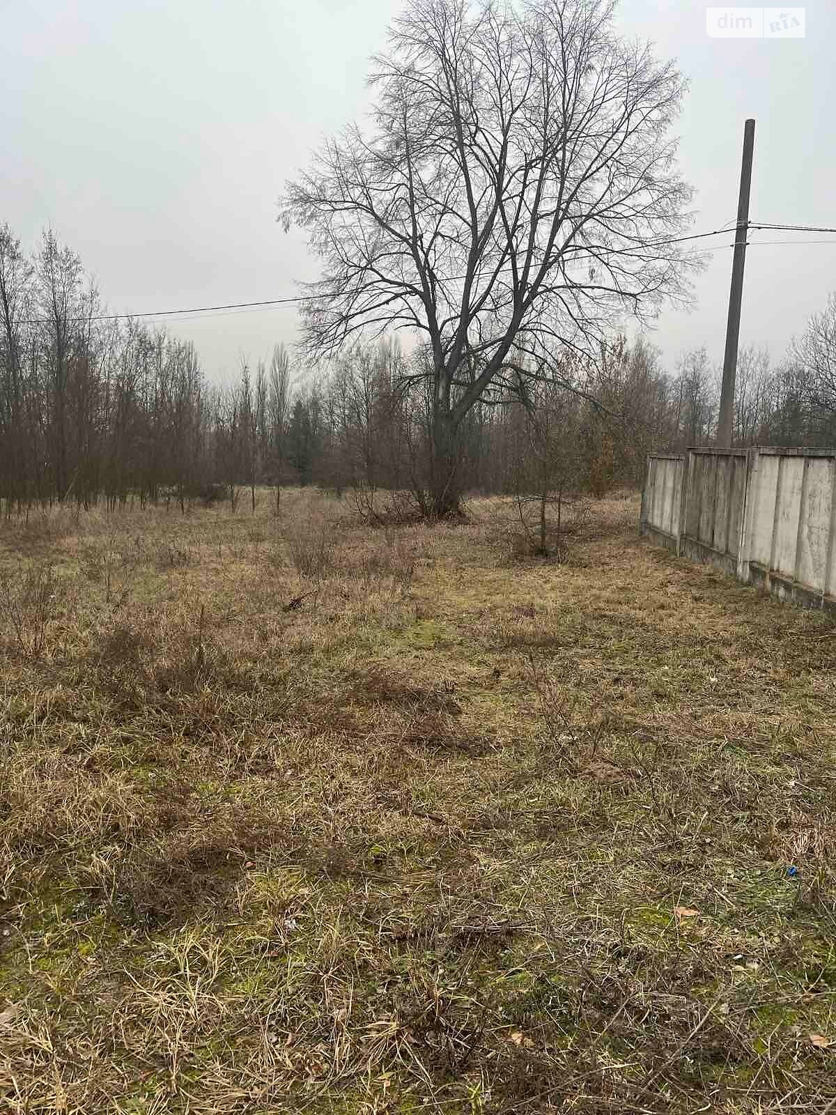 Аренда земли сельскохозяйственного назначения в Новых Воробьях, цена: 1 856 грн за объект фото 1