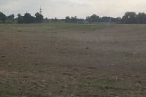 Аренда земли сельскохозяйственного назначения в Новом Мартынове, цена: 14 046 грн за объект фото 1