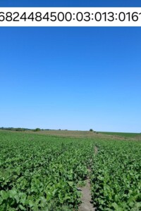 Оренда землі сільськогосподарського призначення в Ожарівці, ціна: 3 345 грн за об’єкт фото 1 Оренда землі сільськогосподарського призначення в Ожарівці, ціна: 3 345 грн за об’єкт фото 1