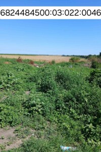 Оренда землі сільськогосподарського призначення в Ожарівці, ціна: 1 191 грн за об’єкт фото 1