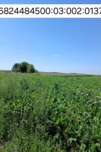 Оренда землі сільськогосподарського призначення в Ожарівці, ціна: 166 грн за об’єкт фото 1 Оренда землі сільськогосподарського призначення в Ожарівці, ціна: 166 грн за об’єкт фото 1