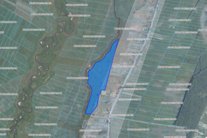 Оренда землі сільськогосподарського призначення в Острозі, ціна: 9 042 грн за об’єкт фото 1