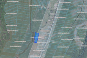 Аренда земли сельскохозяйственного назначения в Остроге, цена: 1 256 грн за объект фото 1