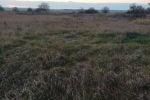 Оренда землі сільськогосподарського призначення в Гостролуччі, ціна: 8 085 грн за об’єкт фото 2