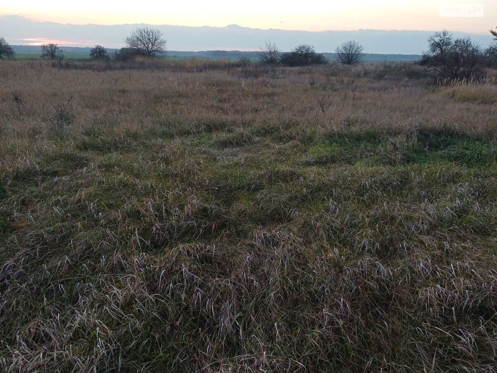 Оренда землі сільськогосподарського призначення в Гостролуччі, ціна: 8 085 грн за об’єкт фото 1 Оренда землі сільськогосподарського призначення в Гостролуччі, ціна: 8 085 грн за об’єкт фото 1