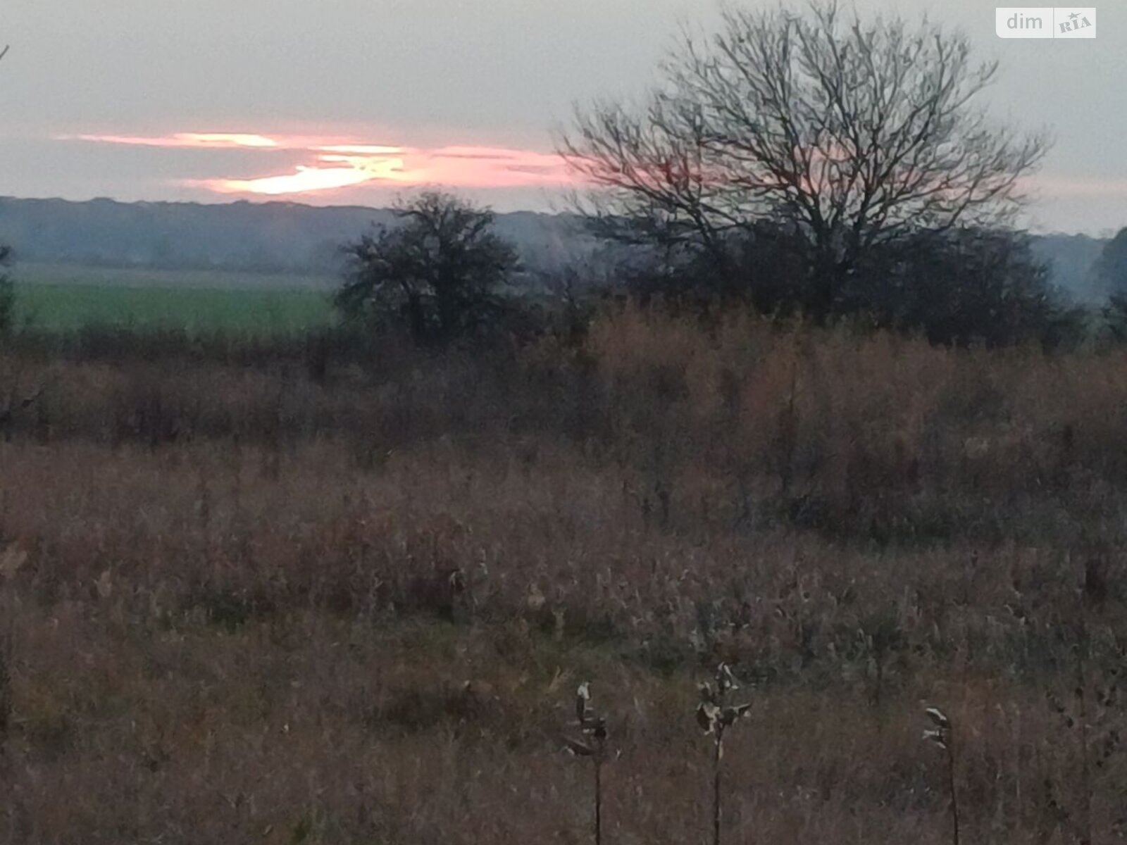 Оренда землі сільськогосподарського призначення в Гостролуччі, ціна: 8 085 грн за об’єкт фото 1 Оренда землі сільськогосподарського призначення в Гостролуччі, ціна: 8 085 грн за об’єкт фото 1
