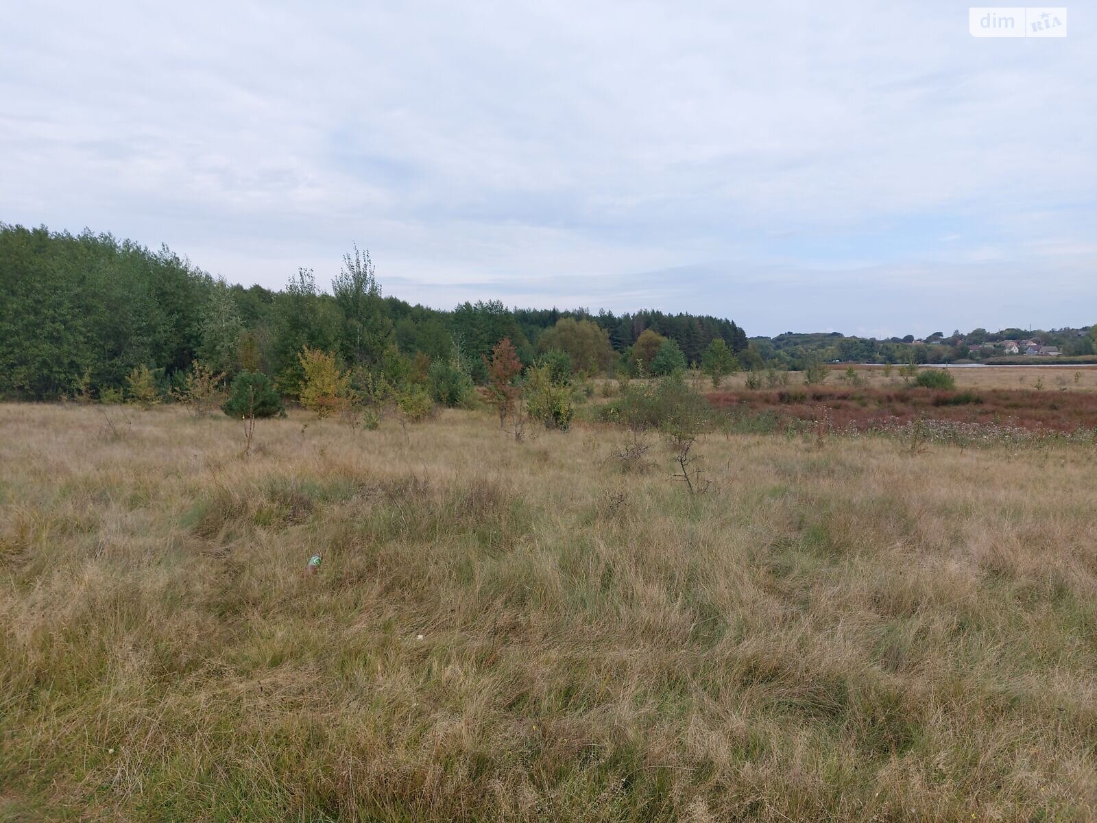 Оренда землі сільськогосподарського призначення в Озадівці, ціна: 22 430 грн за об’єкт фото 1