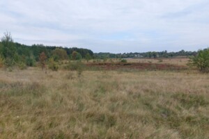 Оренда землі сільськогосподарського призначення в Озадівці, ціна: 22 430 грн за об’єкт фото 2