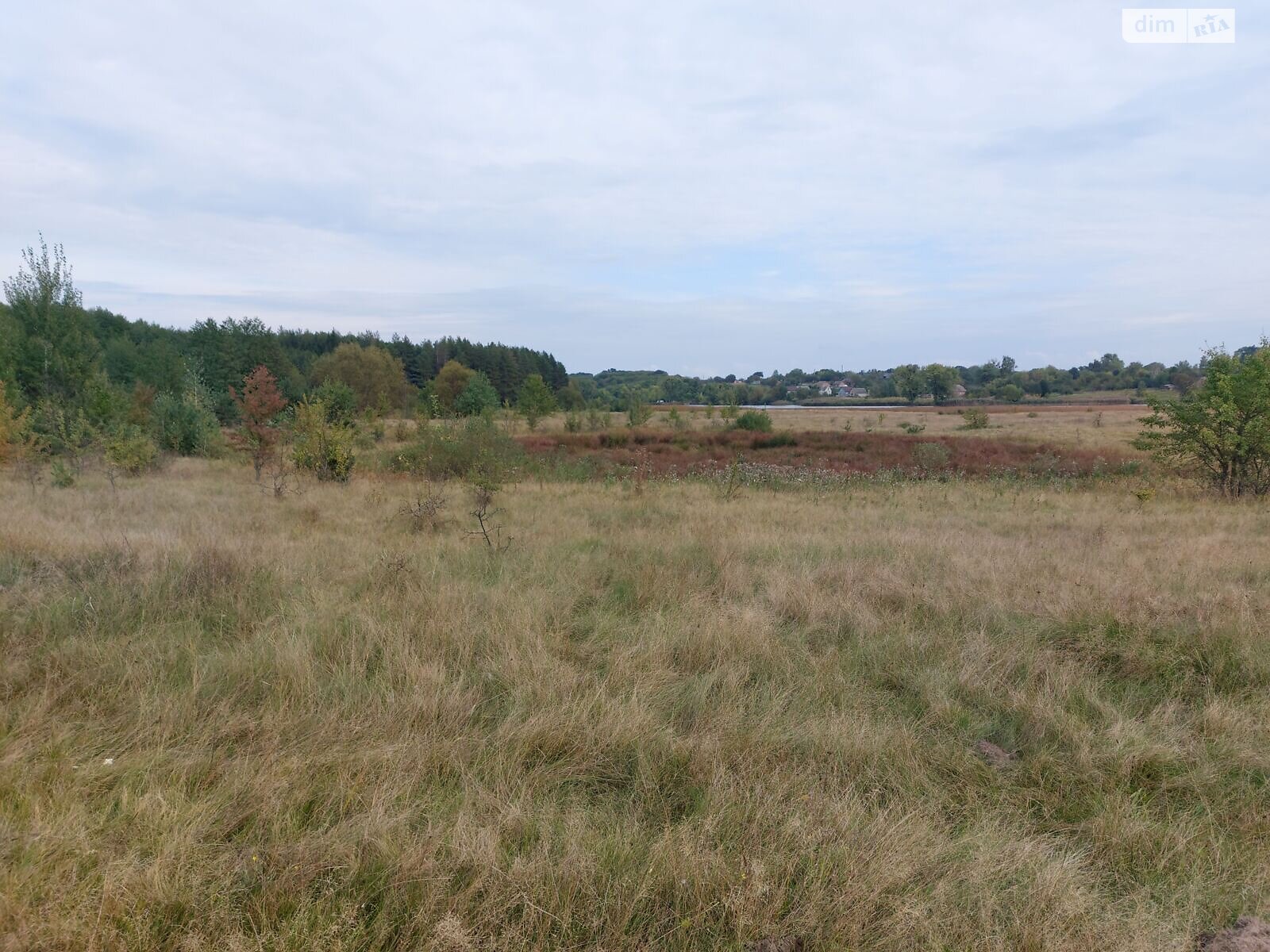 Оренда землі сільськогосподарського призначення в Озадівці, ціна: 22 430 грн за об’єкт фото 1