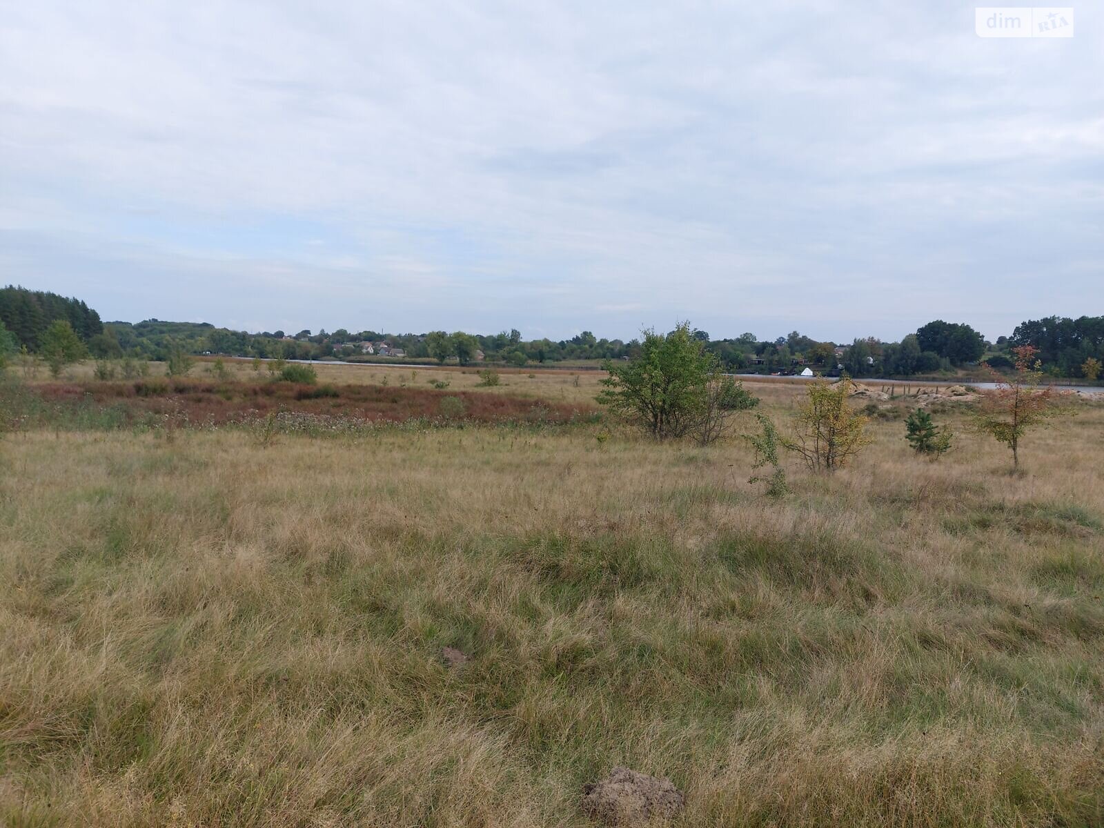 Оренда землі сільськогосподарського призначення в Озадівці, ціна: 22 430 грн за об’єкт фото 1