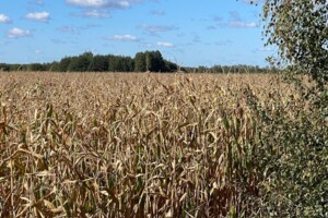 Аренда земли сельскохозяйственного назначения в Озерах, цена: 21 901 грн за объект фото 1 Аренда земли сельскохозяйственного назначения в Озерах, цена: 21 901 грн за объект фото 1