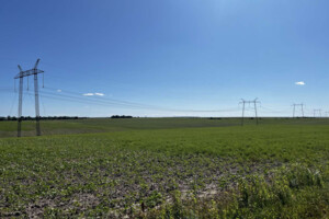 Оренда землі сільськогосподарського призначення в Панасівці, ціна: 127 436 грн за об’єкт фото 1 Оренда землі сільськогосподарського призначення в Панасівці, ціна: 127 436 грн за об’єкт фото 1