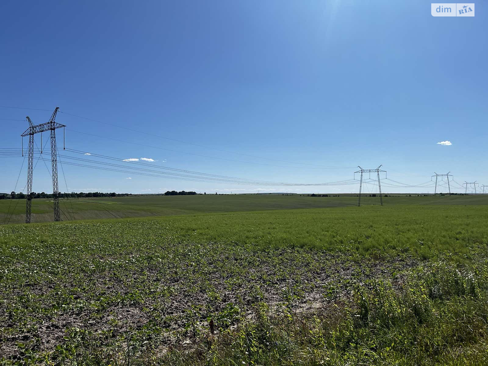 Оренда землі сільськогосподарського призначення в Панасівці, ціна: 127 436 грн за об’єкт фото 1 Оренда землі сільськогосподарського призначення в Панасівці, ціна: 127 436 грн за об’єкт фото 1