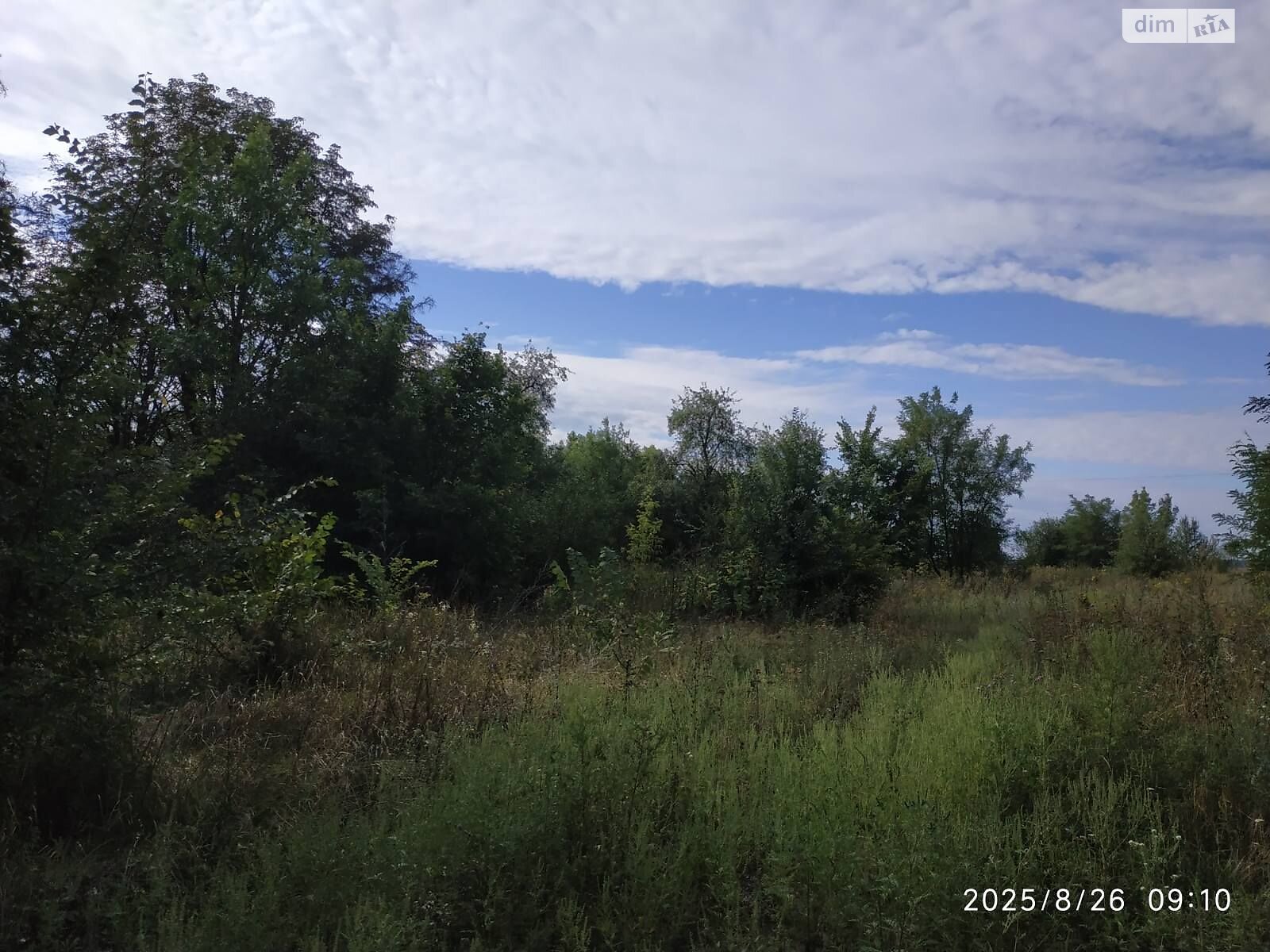 Аренда земли сельскохозяйственного назначения в Пастырском, цена: 9 691 грн за объект фото 1