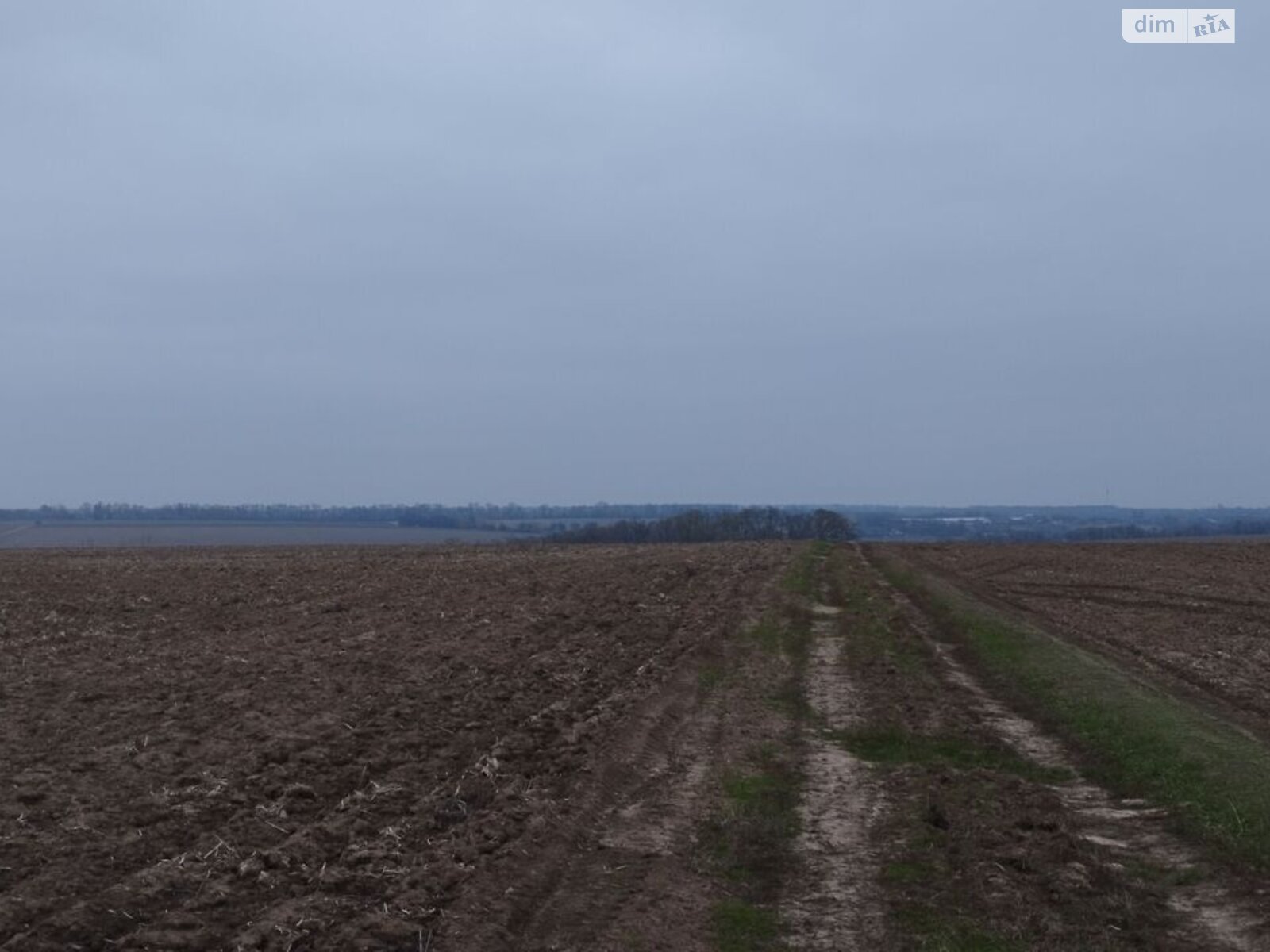 Оренда землі сільськогосподарського призначення в Пастирському, ціна: 14 662 грн за об’єкт фото 1 Оренда землі сільськогосподарського призначення в Пастирському, ціна: 14 662 грн за об’єкт фото 1