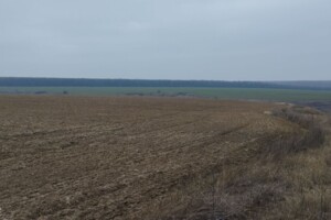 Оренда землі сільськогосподарського призначення в Пастирському, ціна: 14 662 грн за об’єкт фото 2 Оренда землі сільськогосподарського призначення в Пастирському, ціна: 14 662 грн за об’єкт фото 2