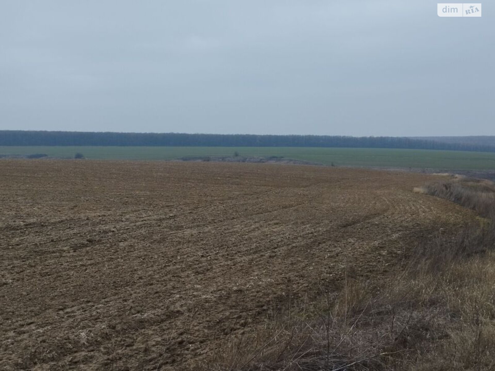 Оренда землі сільськогосподарського призначення в Пастирському, ціна: 14 662 грн за об’єкт фото 1 Оренда землі сільськогосподарського призначення в Пастирському, ціна: 14 662 грн за об’єкт фото 1