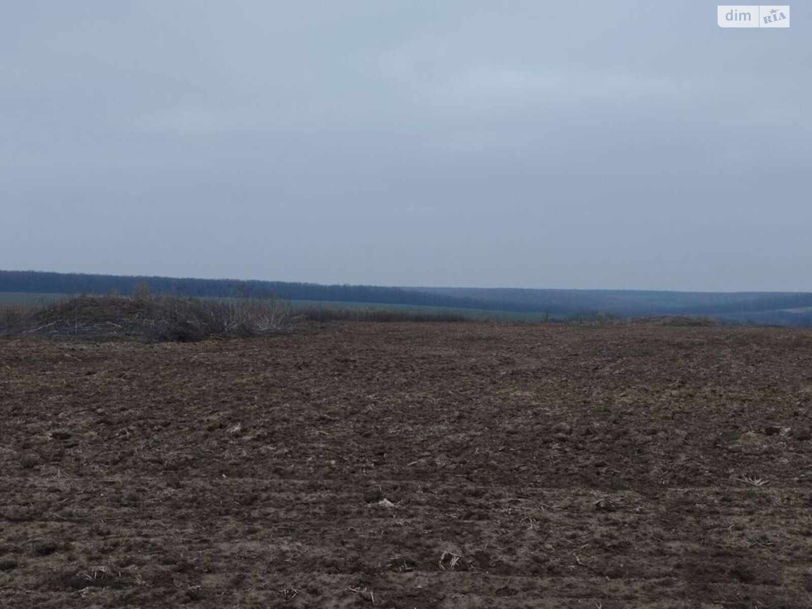 Оренда землі сільськогосподарського призначення в Пастирському, ціна: 14 662 грн за об’єкт фото 1 Оренда землі сільськогосподарського призначення в Пастирському, ціна: 14 662 грн за об’єкт фото 1