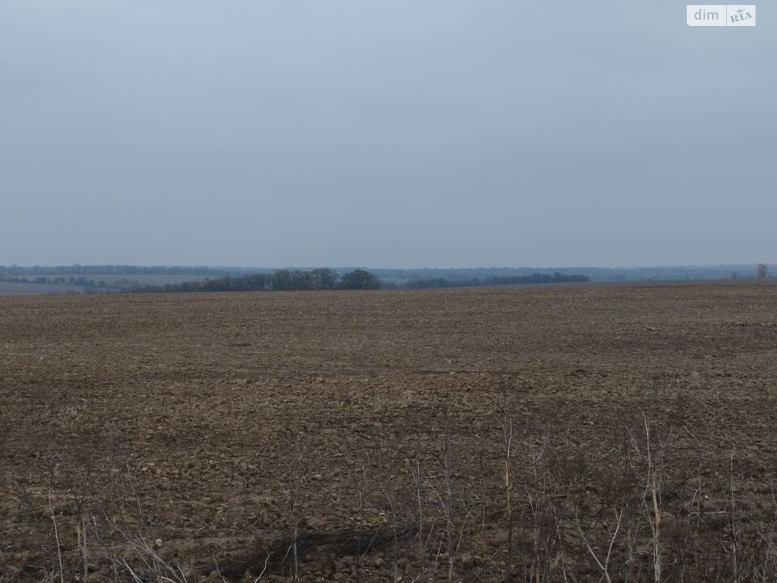 Оренда землі сільськогосподарського призначення в Пастирському, ціна: 14 662 грн за об’єкт фото 1 Оренда землі сільськогосподарського призначення в Пастирському, ціна: 14 662 грн за об’єкт фото 1