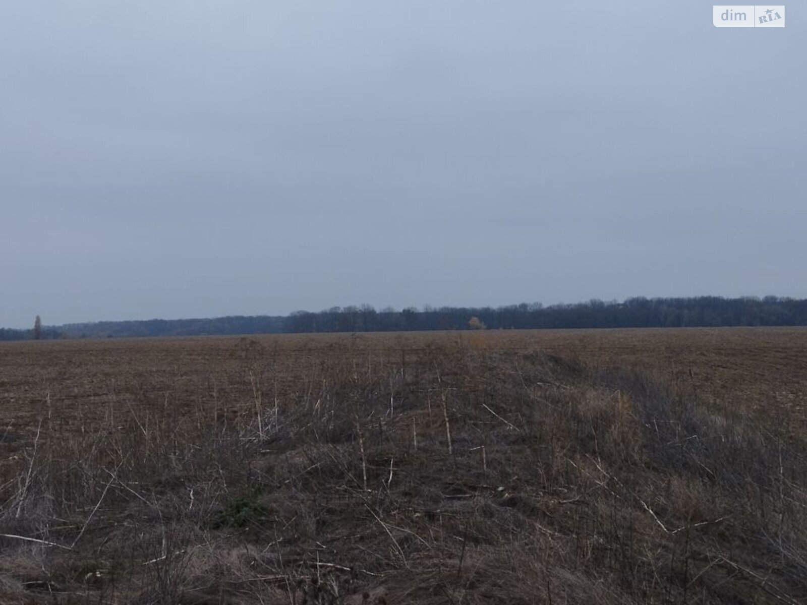 Оренда землі сільськогосподарського призначення в Пастирському, ціна: 14 662 грн за об’єкт фото 1 Оренда землі сільськогосподарського призначення в Пастирському, ціна: 14 662 грн за об’єкт фото 1