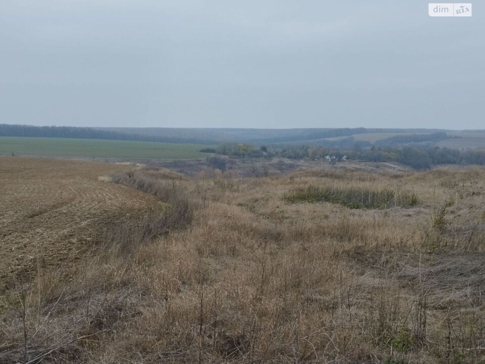 Оренда землі сільськогосподарського призначення в Пастирському, ціна: 14 662 грн за об’єкт фото 1 Оренда землі сільськогосподарського призначення в Пастирському, ціна: 14 662 грн за об’єкт фото 1