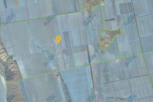 Оренда землі сільськогосподарського призначення в Павлинці, ціна: 9 796 грн за об’єкт фото 1